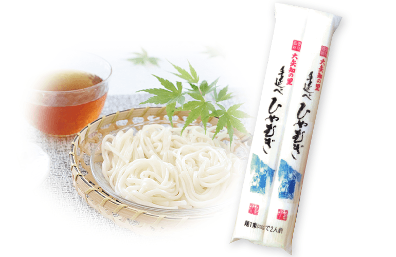手延べひやむぎ