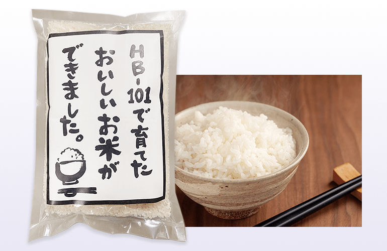 HB-101で育てたおいしいお米