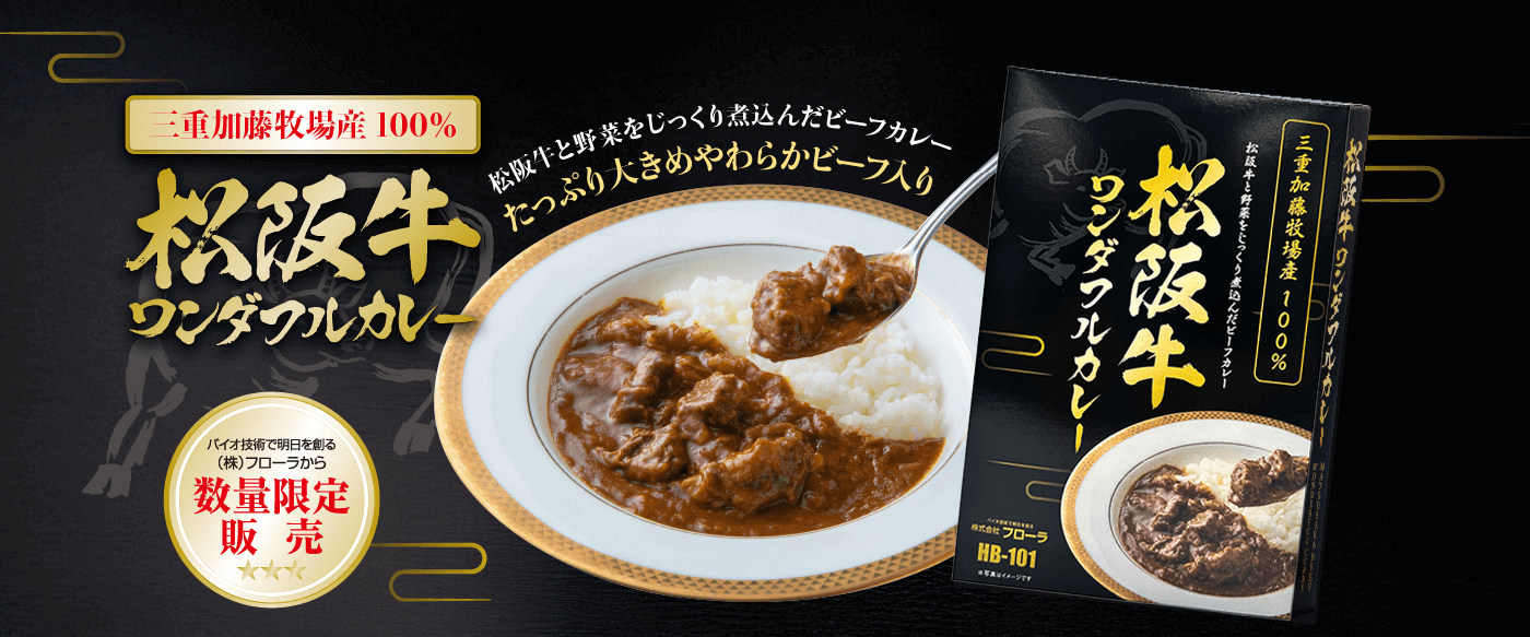 松坂牛ワンダフルカレー