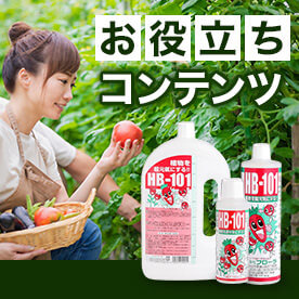 植物をもっと知るコラム はじめました！