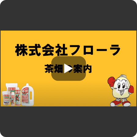株式会社フローラ 茶畑の案内