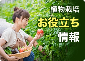 植物栽培お役立ち情報