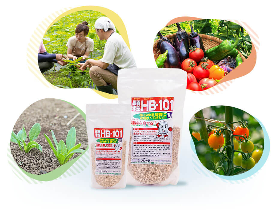 植物の土づくり、土壌改良に「顆粒HB-101」 - HB-101 フローラ公式通販