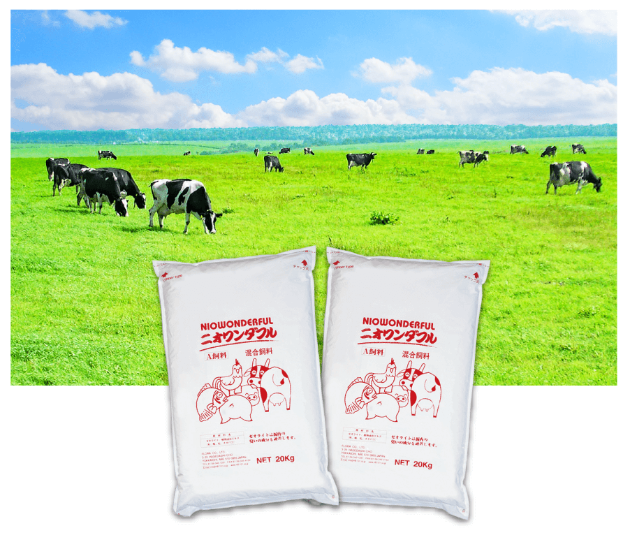 写真｜夢見るシャンプー