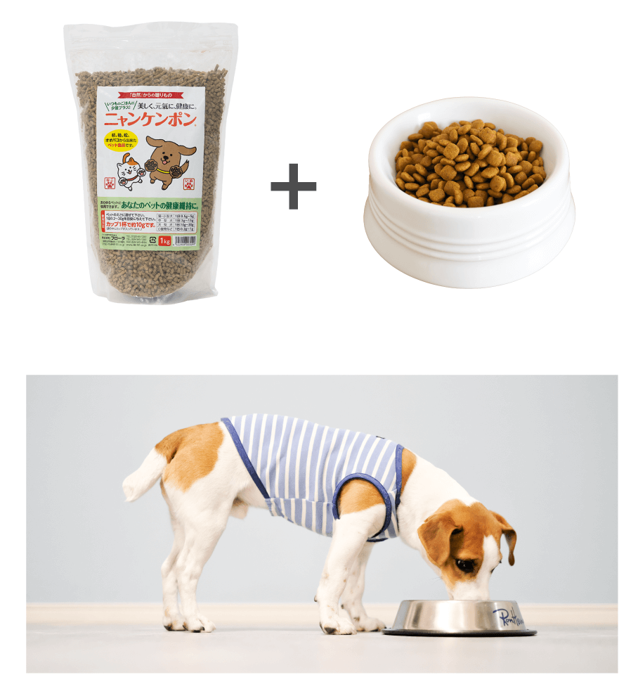 写真｜夢見るシャンプー