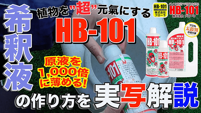 野菜作りや園芸に。プロご用達「HB-101」 - HB-101 フローラ公式通販サイト