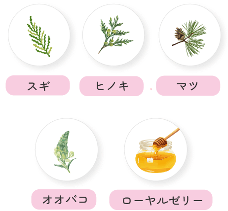 写真｜夢見るシャンプー