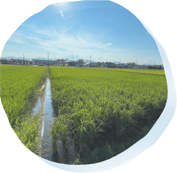 写真：三重県の田園風景