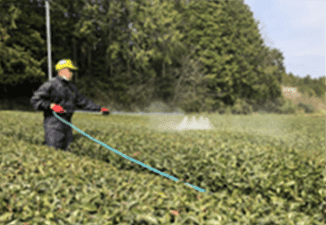 ダイバーシティ1