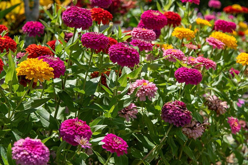 記事サムネイル