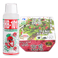 HB-101 100ccとワイルドストロベリーの栽培キット