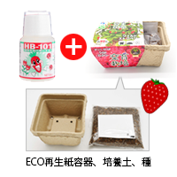 HB-101 35ccとワイルドストロベリー栽培キットのセット