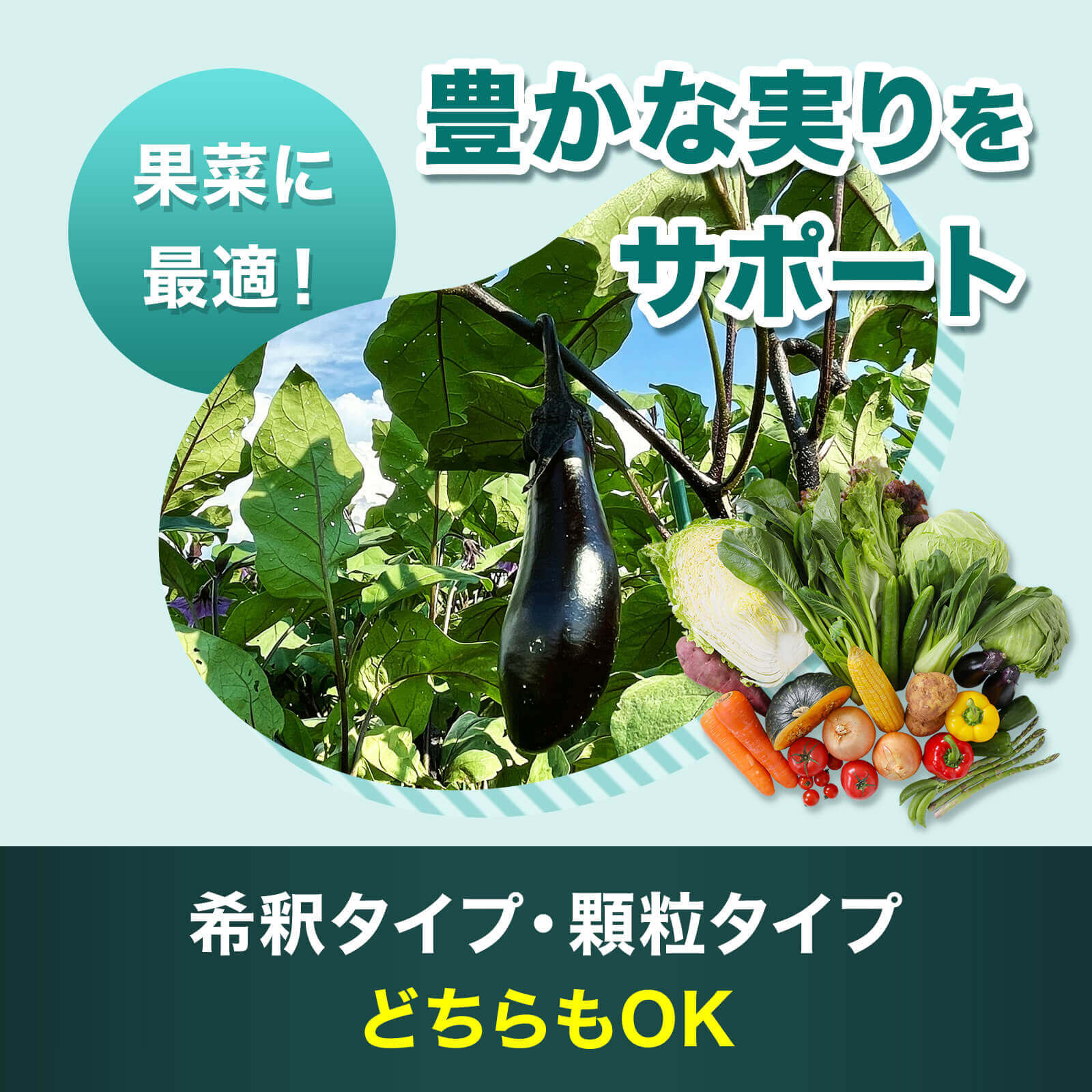 植物の土づくり、土壌改良に「顆粒HB-101」 - HB-101 フローラ公式通販