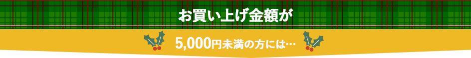 5000円未満の方には…