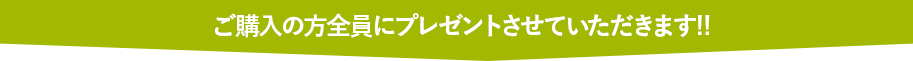 ご購入の方全員にプレゼントさせていただきます!!
