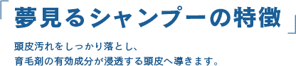 夢見るシャンプーの特徴