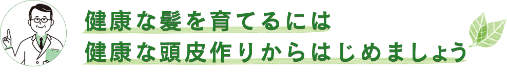 健康な髪を育てるには健康な頭皮作りからはじめましょう