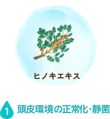 頭皮環境の正常化・静菌