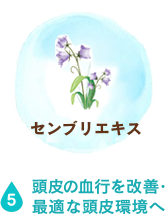 頭皮の血行を改善・最適な頭皮環境へ