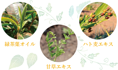 ダメージを防ぐ保湿成分
