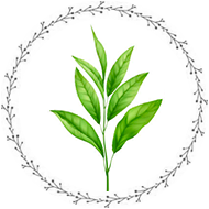 緑茶葉オイル