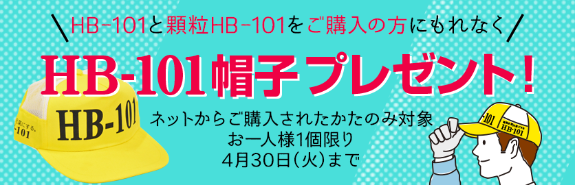 HB-101は天然植物活力液。野菜・花・果実がきれいにみずみずしく、おいしく育つ！