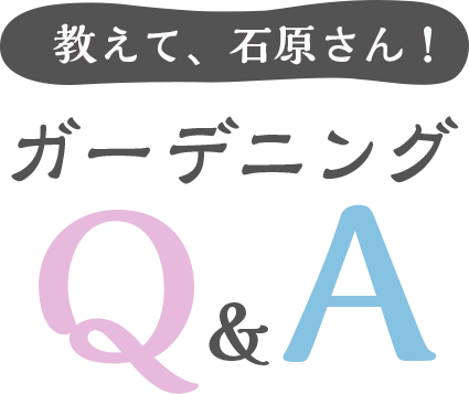 教えて、石原さん！ガーデニングQ&A」