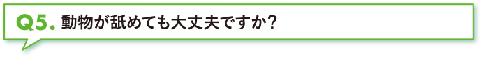 動物が舐めても大丈夫ですか？