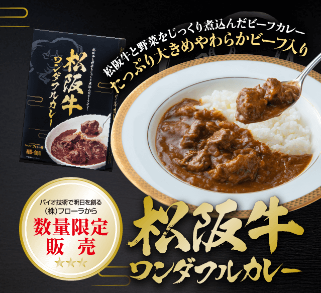 松坂牛ワンダフルカレー