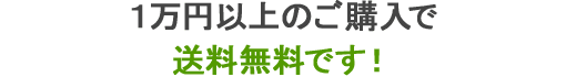 合計金額に関わらず、全てのお買い物は1万円以上で送料無料です！（一部地域除く）