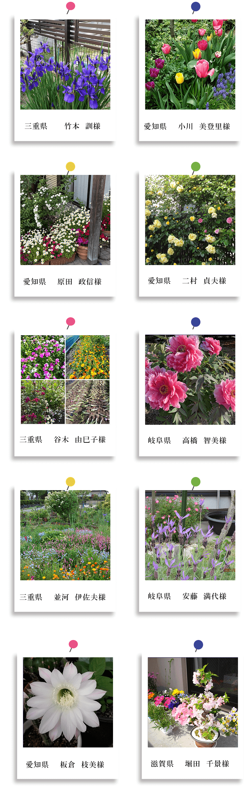 中日新聞社主催　自慢のお庭・花壇・畑写真当選者発表