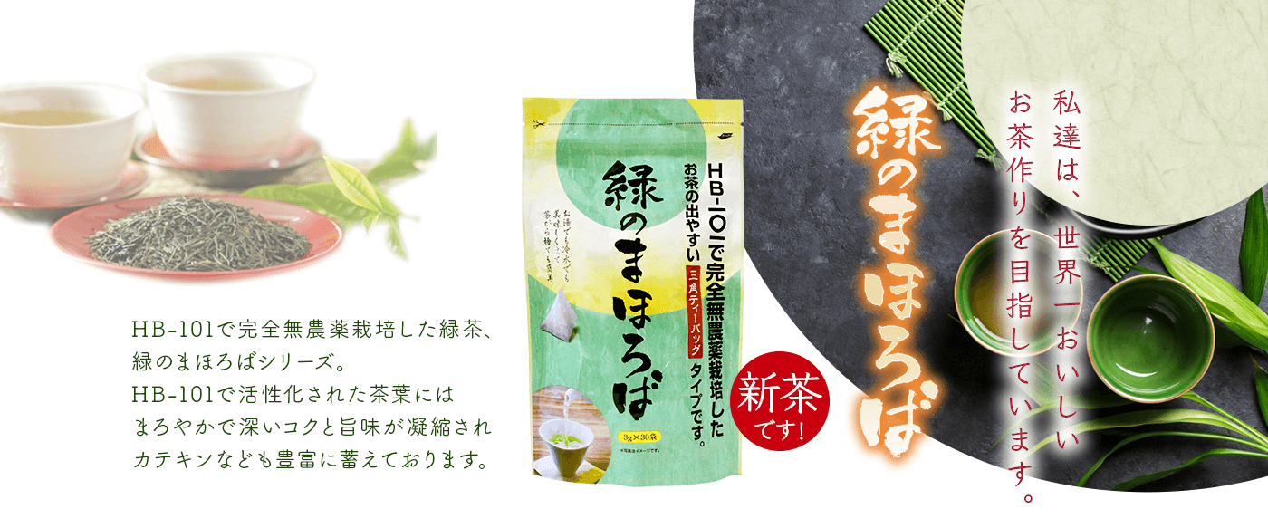 HB-101で完全無農薬栽培の「緑のまほろば茶」