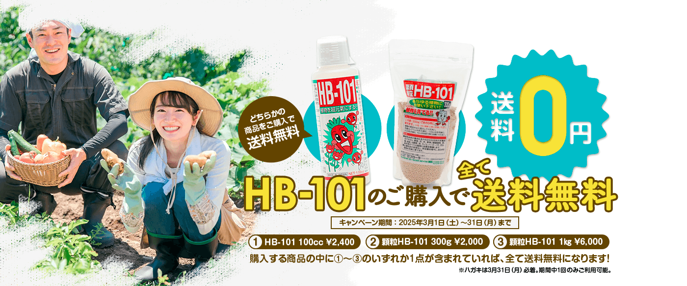 送料無料キャンペーン