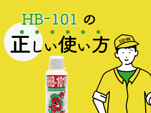 HB101帽子