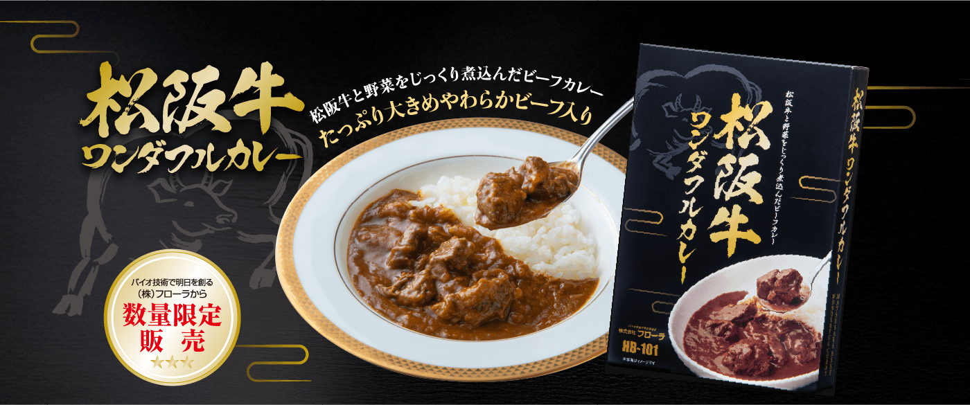 松阪牛ワンダフルカレー