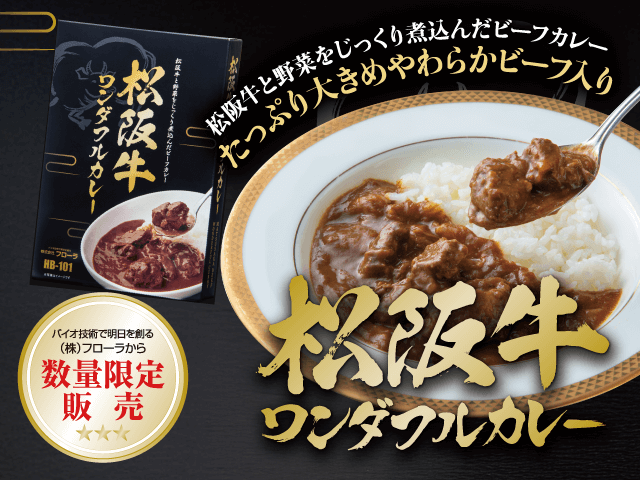 松阪牛ワンダフルカレー