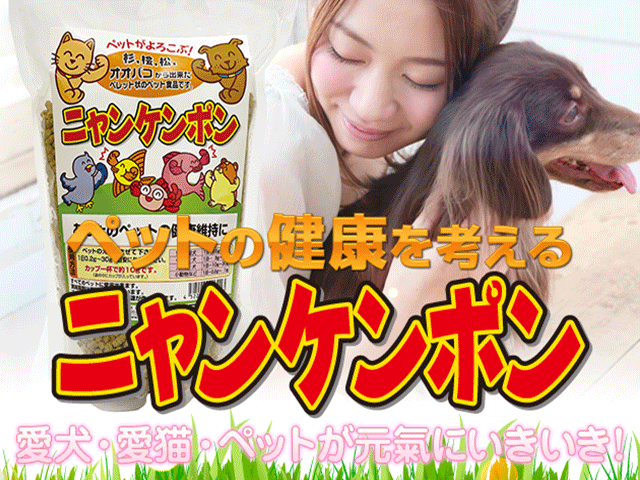 ニャンケンポン