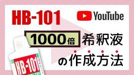 植物活力液HB-101の希釈液を作る方法を実写でわかりやすく解説！