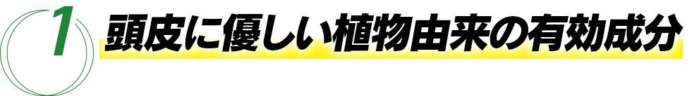 1 頭皮に優しくアレルギーにも安心！