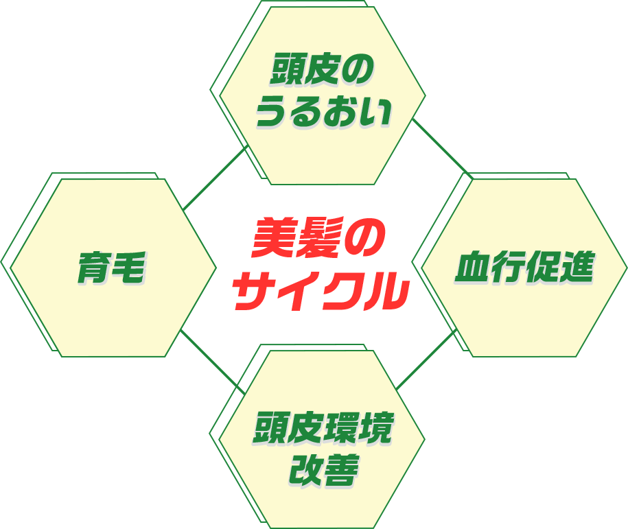 美髪のサイクル頭皮のうるおい血行促進頭皮環境改善育毛