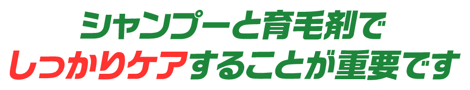 シャンプーと育毛剤でしっかりケアすることが重要です