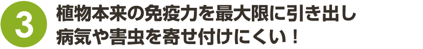 植物本来の免疫力を最大限に引き出し病害虫を寄せ付けない!