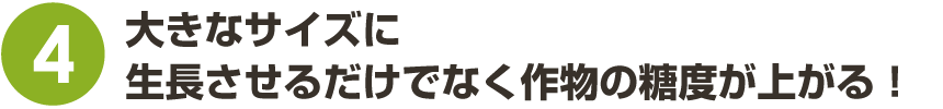 大きなサイズに生長させるだけでなく作物の糖度が上がる!