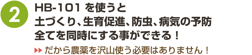2.HB-101を使うだけで土づくり、生育促進、防虫、病気の予防。全てを同時にする事ができる!⇒だから色々な肥料や農薬物を使う必要がありません!