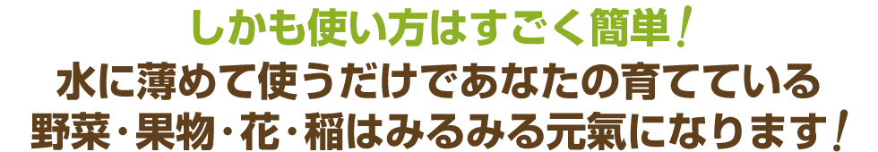 しかも使い方はすごく簡単!水に薄めて使うだけであなたの育てている野菜・果物・花・稲はみるみる元氣になります!