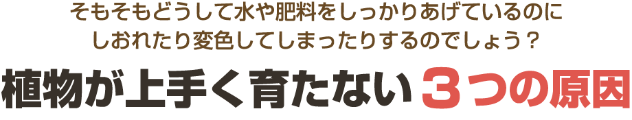 植物が上手く育たない3つの原因