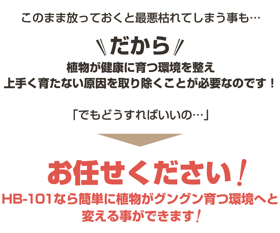 お任せください!HB-101なら簡単に植物がグングン育つ環境へと変える事ができます!