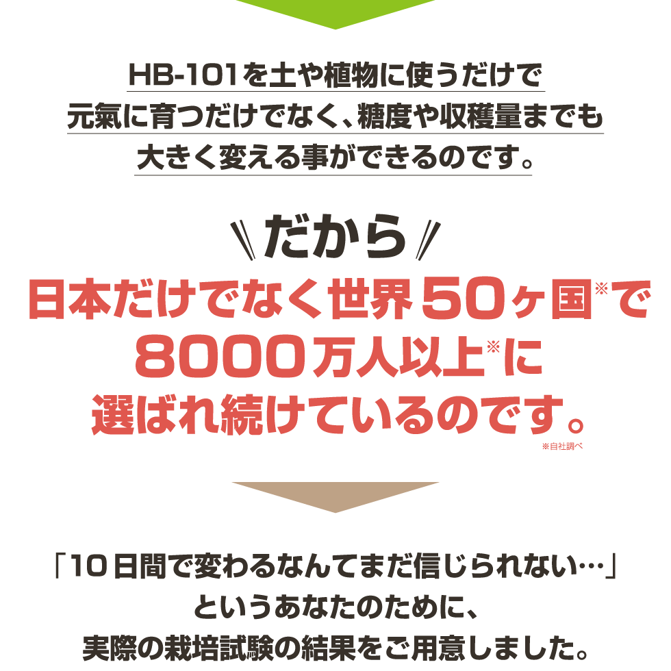 日本だけでなく世界58ヶ国で8000万人以上に選ばれ続けているのです。