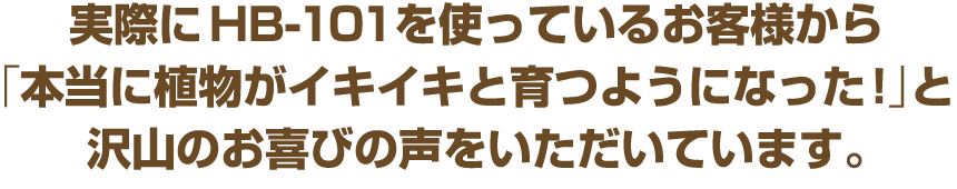 実際にHB-101を使っているお客様から「本当に植物がイキイキと育つようになった!」と沢山の喜びの声をいただいています。