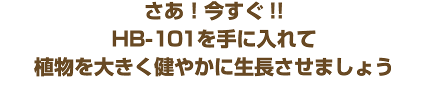 さあ!今すぐ!!HB-101を手に入れて植物を大きく健やかに生長させましょう